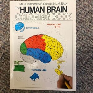 Human Brain Coloring book - like new! Neuroanatomy anatomy resource
